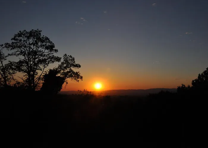 Nyaraló Casa-palmeira-quinta-da-encavalada-relaxing-holiday-house-with-beautiful-view-and-swimmingpool